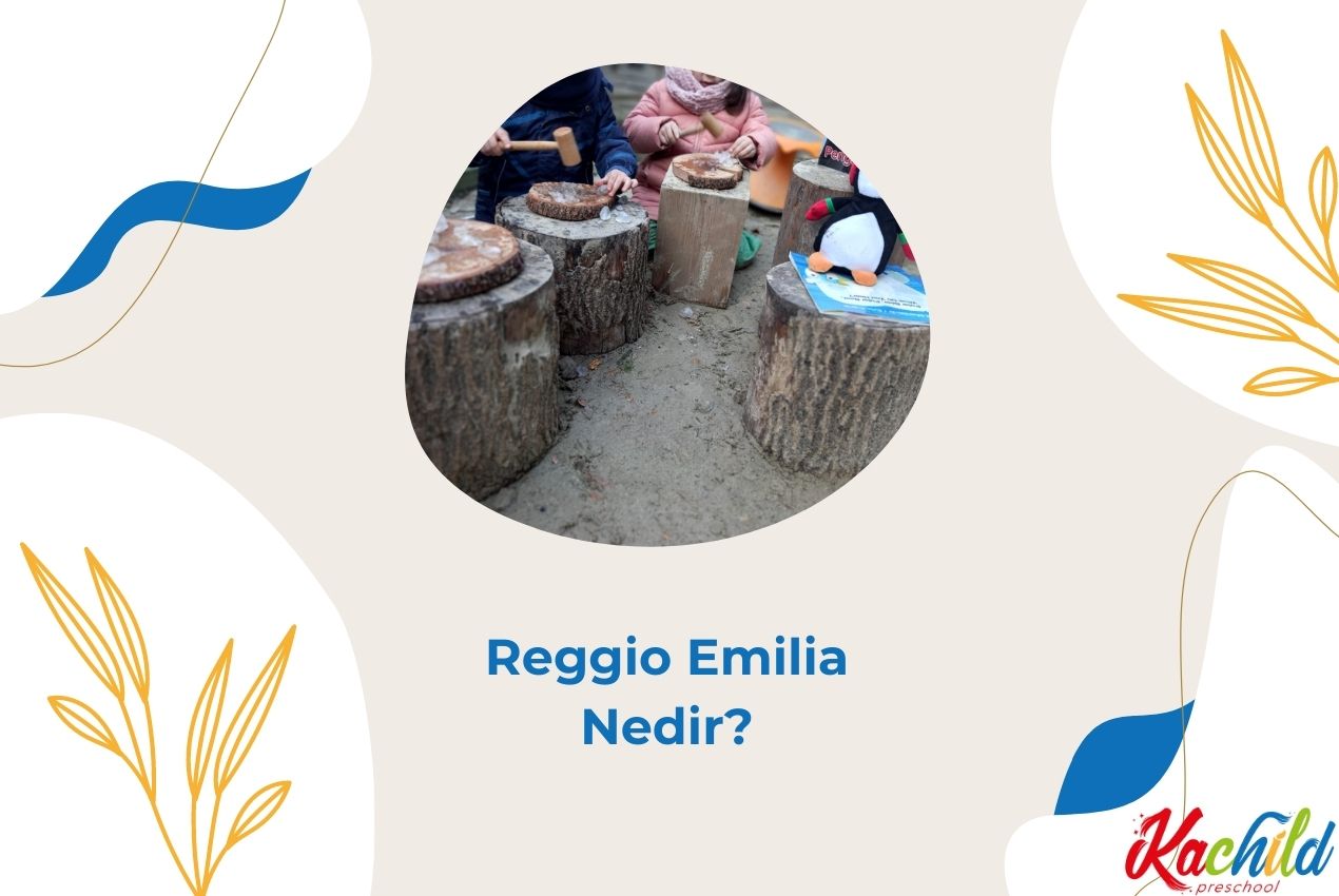 Reggio Emilia Nedir?