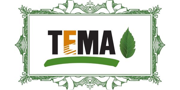 tema-logo Tema